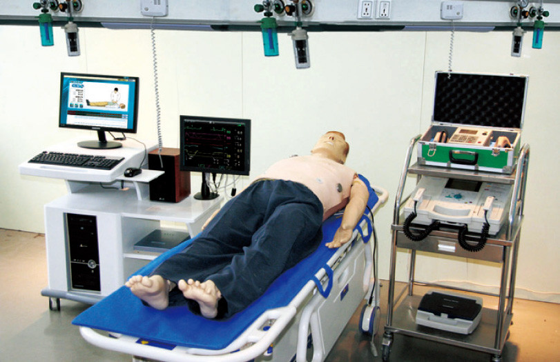 OEM 성숙한 CPR 인체 해부 모형은/PVC - 몸 긴급 가장을 충분히 전진했습니다