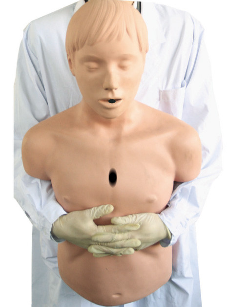 절반 - Heidegger 성인 응급조치를 위한 몸 기도 모형/CPR 구급술 인체 해부 모형