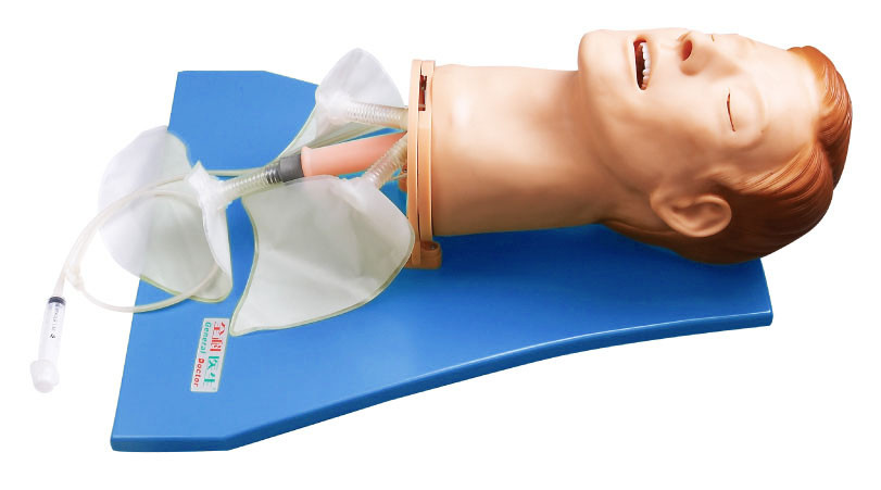 observe 폐 호흡 운동 훈련을 위한 EMS 시뮬레이터/기도 훈련 인체 해부 모형