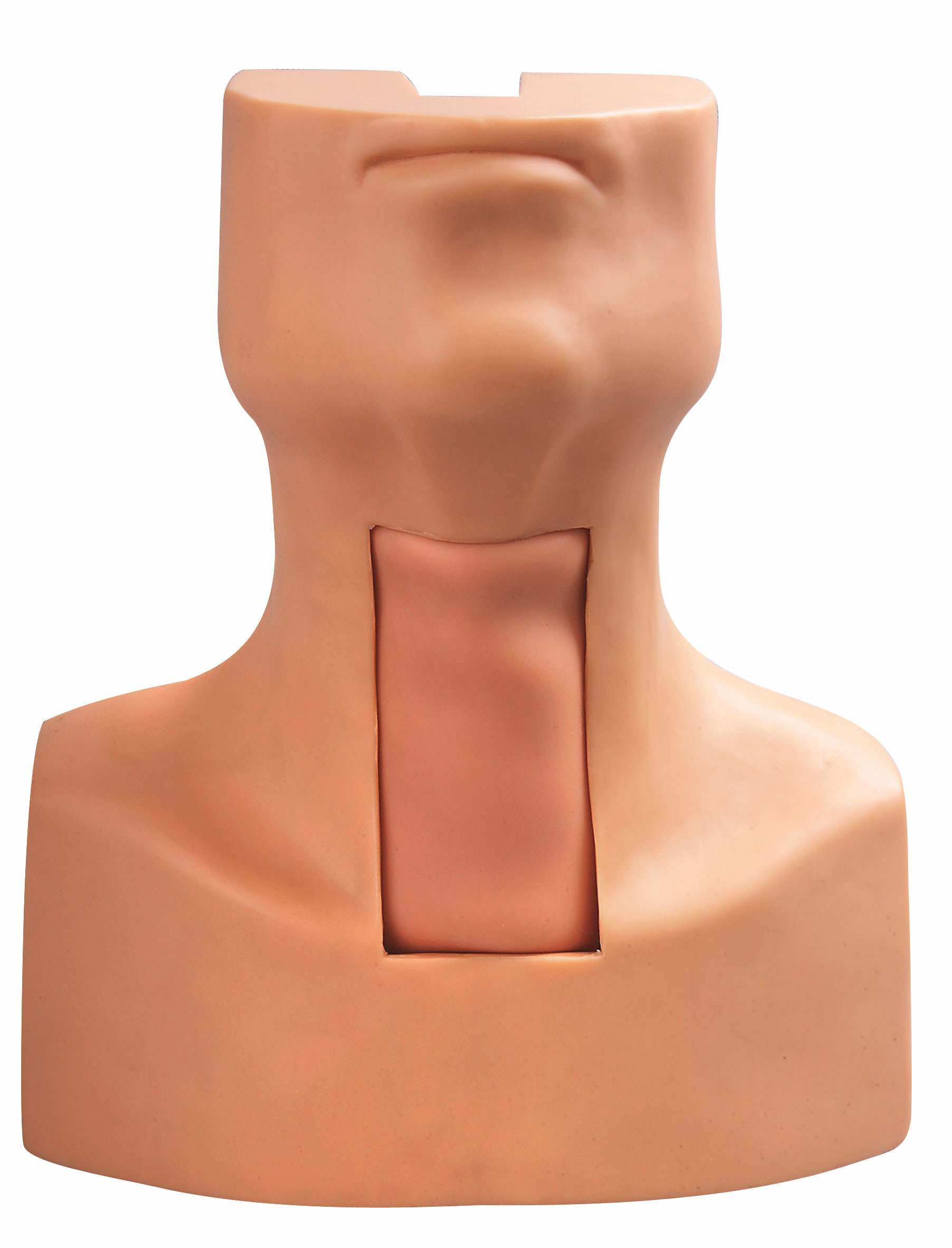 훈련을 위한 가장된 기관과 목 피부를 가진 Tracheostomy 빵꾸 삽관법 모형