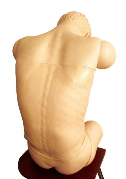 가슴, 허리 빵꾸 임상 시뮬레이터는 착석 위치 교육 인체 해부 모형을 anteverted