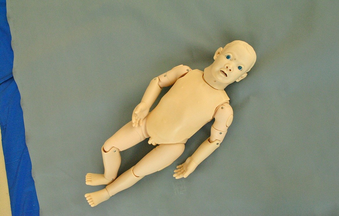 명백한 빈 감각/소아과 가장 인체 해부 모형을 가진 아기 인체 해부 모형