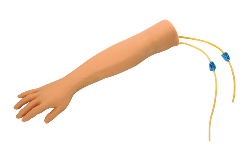 Wareable와 비 - 모양없이 한 간호 인체 해부 모형 Introvenous 빵꾸 훈련 팔