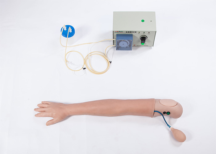 진보된 PVC는 인간적인 hemodialysis 팔 훈련 모형을 가장했습니다