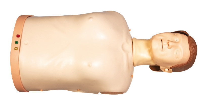 가슴 압축 훈련을 위한 전자 가벼운 전시를 가진 Ambu 비상사태 인체 해부 모형