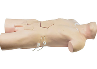 의과대학 훈련의 모델을 훈련시키는 PVC 몸통 수술