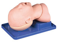 유아 기관 삽관법 훈련을 위한 머리를 가진 유아 기도 관리