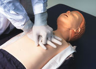 ACLS 병원 훈련을 위한 지적인 아이 응급조치 인체 해부 모형
