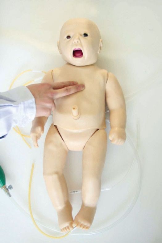 신생아 비상사태 기술 훈련을 위한 기도 관리를 가진 소아과 가장 인체 해부 모형