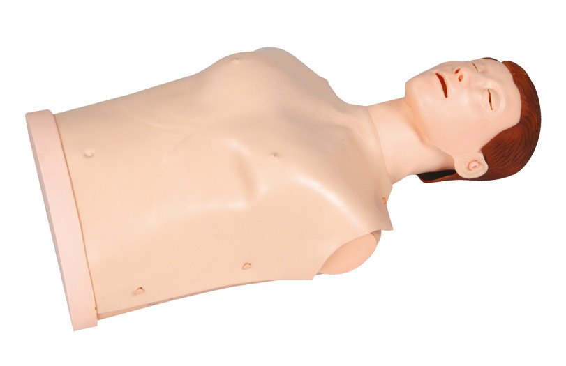 절반 발신음 끝을 가진 간단한 유형 응급조치 인체 해부 모형 - 몸 CPR 훈련 거짓