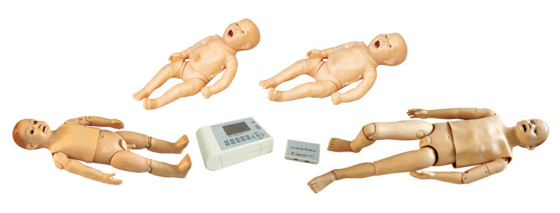 정상 적이고 및 이상한 심장 소리, 참을성 있는 시뮬레이터를 가진 아이 청진 인체 해부 모형