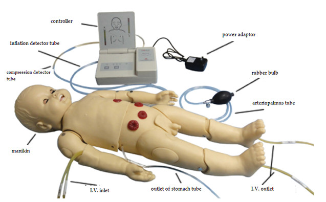 청진 시뮬레이터는 ECG 발전기를 가진 놓고/소아과 가장 인체 해부 모형
