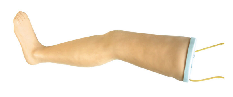 빵꾸, 주입을 위한 간호 인체 해부 모형을 가장하는 정맥 주입 다리