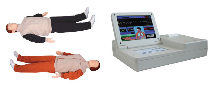 병원 회의 훈련을 위한 LED 스크린을 가진 진보된 응급조치 인체 해부 모형