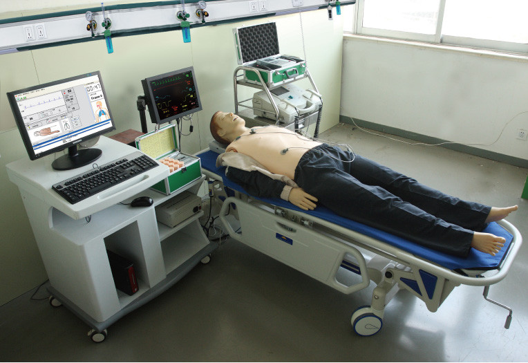 학교 훈련, 가르침을 위한 CPR를 가진 포괄적인 성인 응급조치 인체 해부 모형