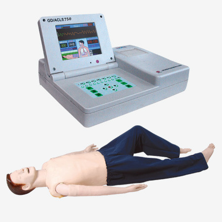 대학 훈련을 위한 ACLS 컴퓨터 스크린을 가진 ECG 성인 응급조치 인체 해부 모형