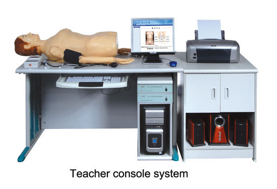 복부 청진 인체 해부 모형 여성과 가진 높은 지적인 디지탈 통신망